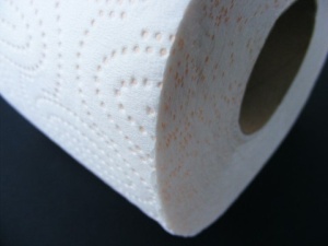 Save Costs on Buying Baby Wipes & Make Your Own Toilet Paper Save Costs on Buying Baby Wipes & Make Your Own