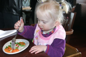 toddlers and vegetables toddler picky eater