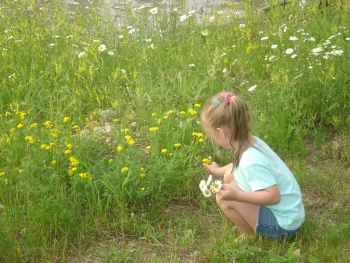 Little Girl Picking Flowers